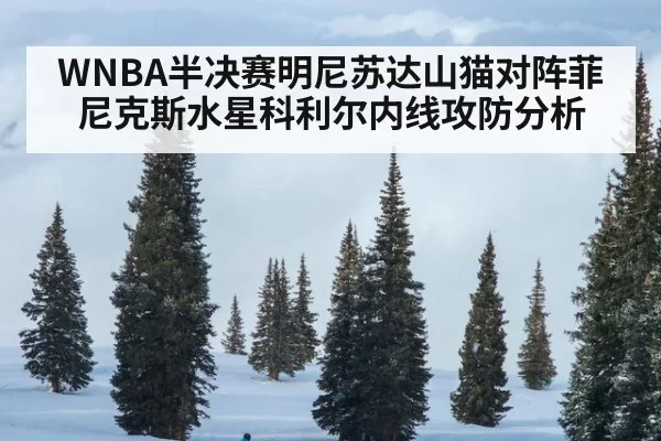 WNBA半决赛明尼苏达山猫对阵菲尼克斯水星科利尔内线攻防分析