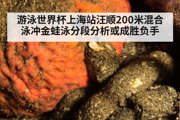 游泳世界杯上海站汪顺200米混合泳冲金蛙泳分段分析或成胜负手